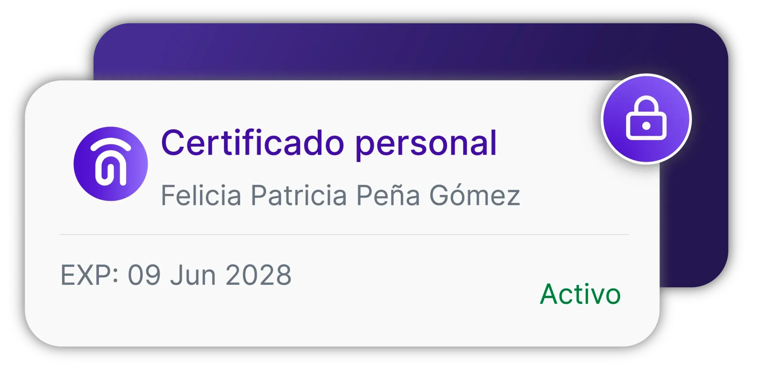 Paso 2