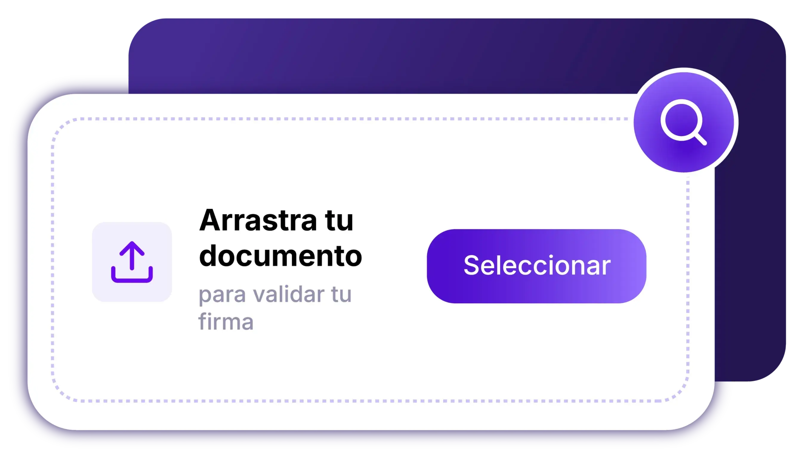 Paso 4